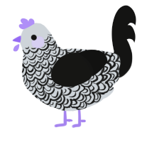A mist and black chicken with a double-lace pattern