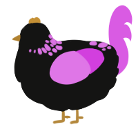 A black and orchid chicken with a neck-speckle pattern