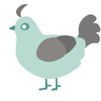 Pro the Projector, a mint and grey chicken