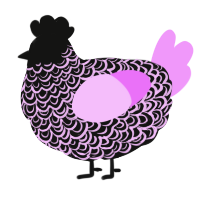 A black and lavender chicken with a double-lace pattern