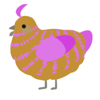 A gold and orchid chicken with a bar pattern