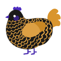 Pumkin, a sable and orange chicken with a lace pattern