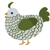 A mist and olive chicken with a lace pattern