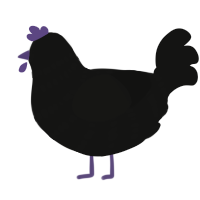 A black chicken with a bar pattern