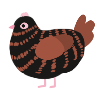 cured ailment, a sable and russet chicken with a bar pattern