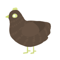 A bark chicken with a bar pattern