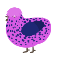 Bloop, a orchid and navy chicken with a speckle pattern