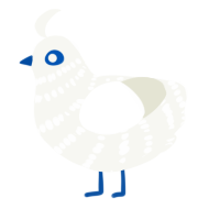 A white chicken with a bar pattern