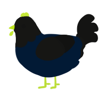 A tumblr and black chicken with a head pattern