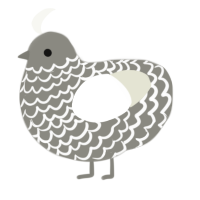 Stereogram, a ash and white chicken with a lace pattern