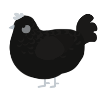 (unnamed), a black and sable chicken with a half-lace pattern