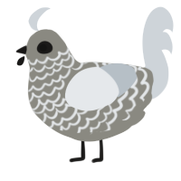 A ash and mist chicken with a lace pattern