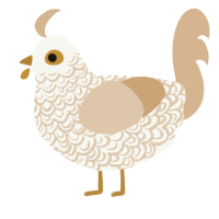 麻酱, a white and beige chicken with a double-lace pattern