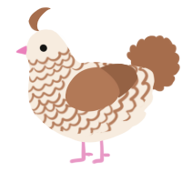 A cream and brown chicken with a lace pattern