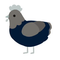 A tumblr and grey chicken with a head pattern