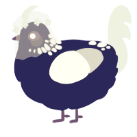 A navy and silver chicken with a neck-speckle pattern