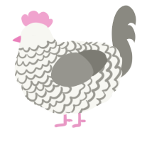 A white and ash chicken with a lace pattern