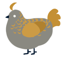 Super Sonic Racing, a ash and gold chicken with a half-lace pattern