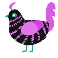 Socks, a black and orchid chicken with a bar pattern