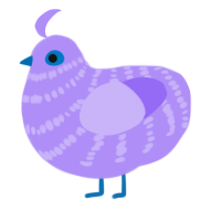 bett, a lilac chicken with a bar pattern