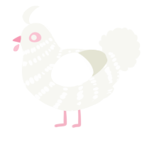 A white chicken with a bar pattern