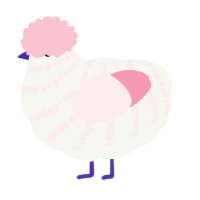A white and rose chicken with a bar pattern