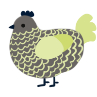 Figgy, a grey and lemon chicken with a lace pattern