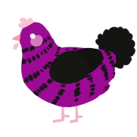 A plum and black chicken with a bar pattern