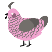 A pink and grey chicken with a lace pattern