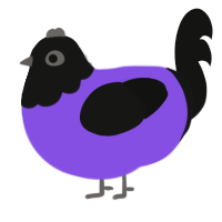 A blurple and black chicken with a head pattern