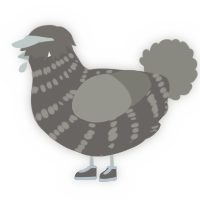 A grey and ash chicken with a bar pattern