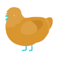 Oasis, a orange chicken with a head pattern
