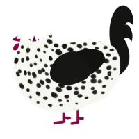 Cuter, a white and black chicken with a speckle pattern