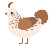 A cream and brown chicken with a half-lace pattern