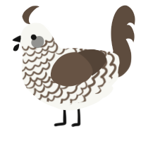 A white and bark chicken with a lace pattern