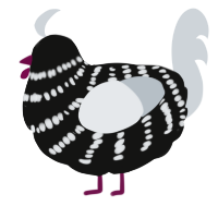 A black and mist chicken with a bar pattern