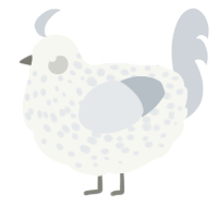 A white and mist chicken with a speckle pattern