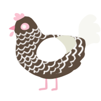 Cake Pop, a bark and white chicken with a lace pattern