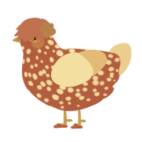 Rusty, a red and beige chicken with a speckle pattern
