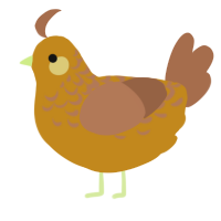 A ochre and brown chicken with a half-lace pattern