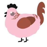 A rose and russet chicken with a neck-band pattern