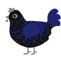 Meteorite, a black and navy chicken with a speckle pattern