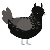 ȚĦĘ ĦŌŘŘŐŘŞ, a black and grey chicken with a half-lace pattern