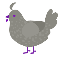 Silver, a ash chicken with a speckle pattern