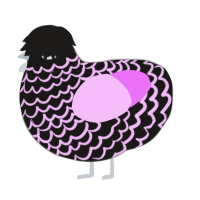 Sablemist, a sable and lavender chicken with a lace pattern