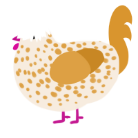 A cream and orange chicken with a speckle pattern