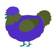 A indigo and olive chicken with a head pattern