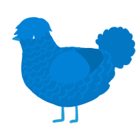 A sapphire chicken with a lace pattern