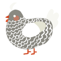 A ash and white chicken with a lace pattern