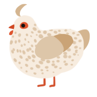 A cream and beige chicken with a speckle pattern